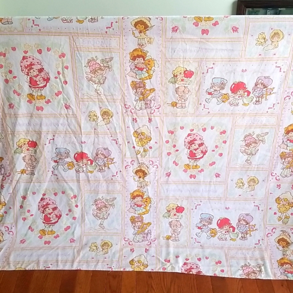 Strawberry Shortcake - Vintage 1982 twin bedsheet